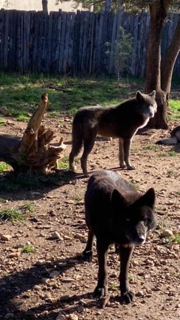 Les Gites Du Parc Animalier De Ginasservis 외부 사진