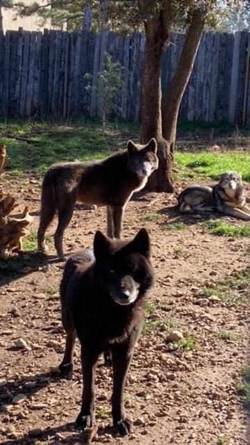 Les Gites Du Parc Animalier De Ginasservis 외부 사진